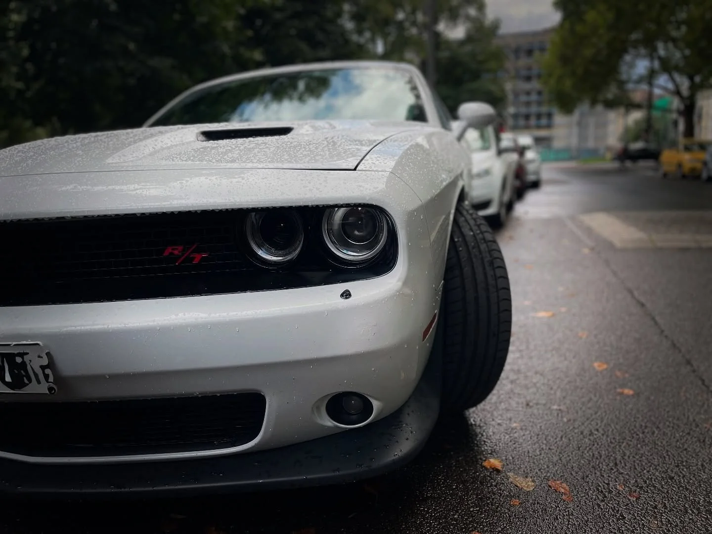 #dodgechallengersrt 
#streefinds 

#carsilike 
#clothandcut 
#newwornloved