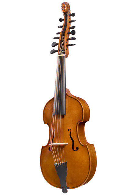 6/6 Viola d'amore