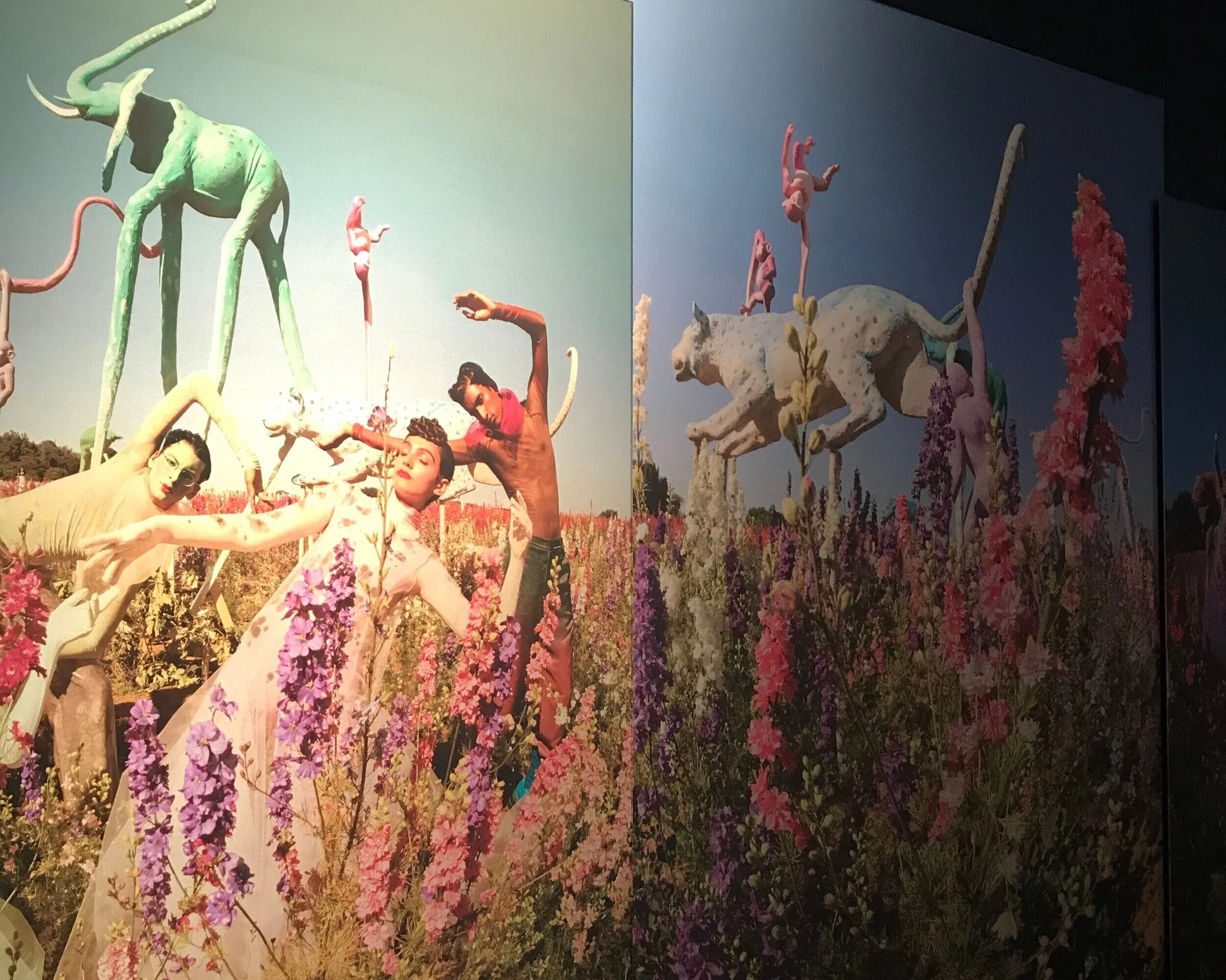 tim walker exhibition v&a