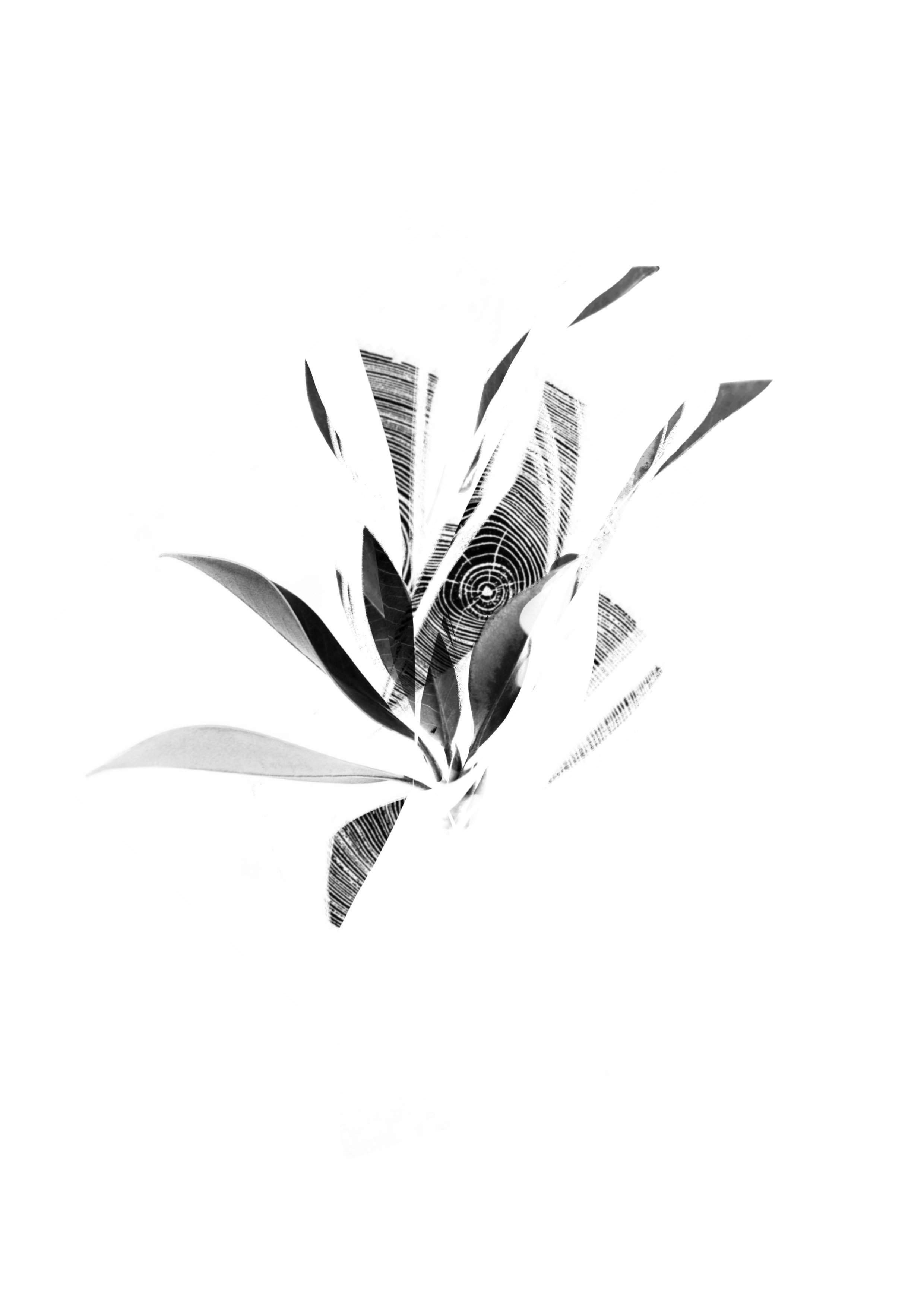 Element_Sound_-_Wind_.jpg