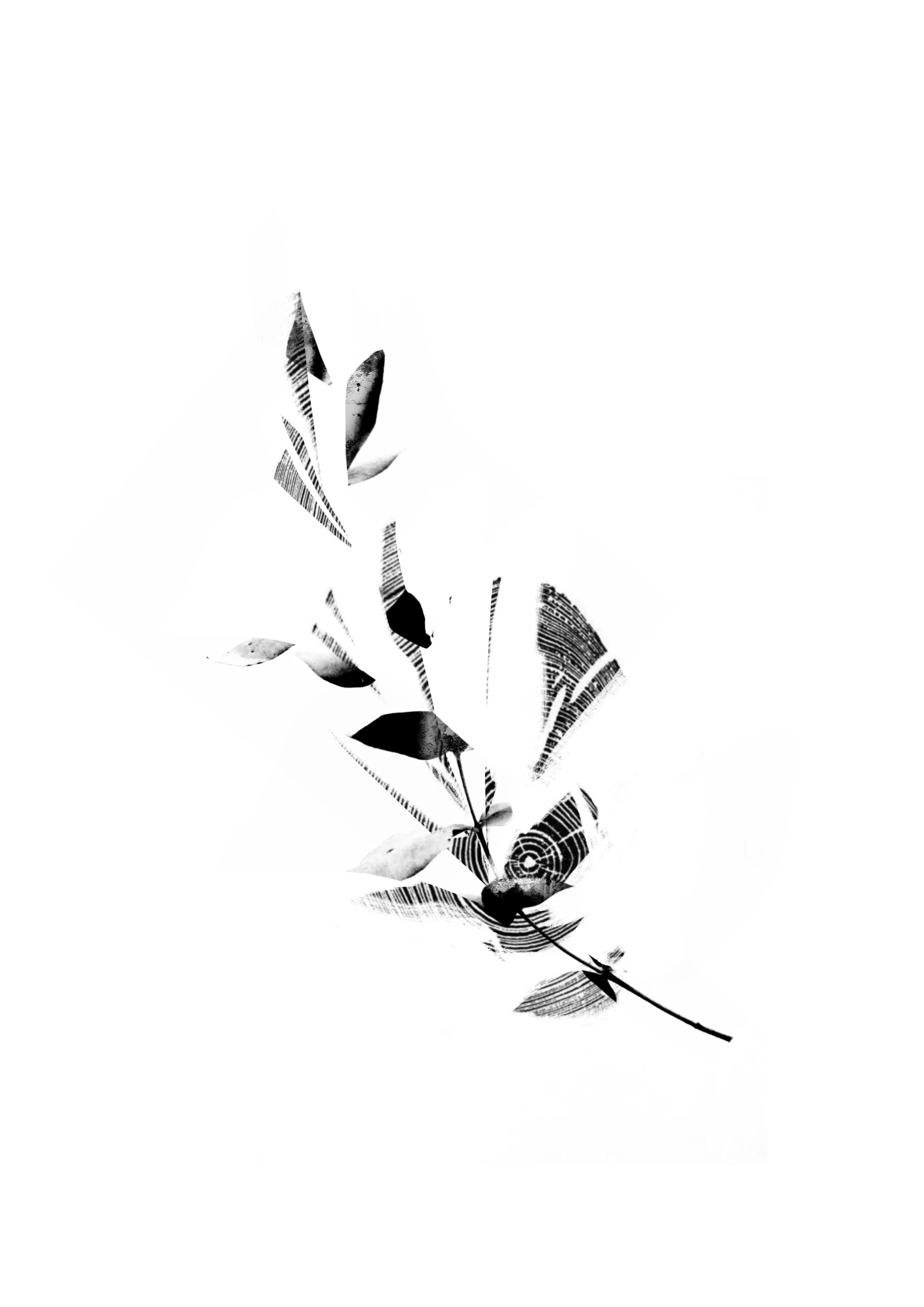 Element_Sound_-_Wind_ 2.jpg
