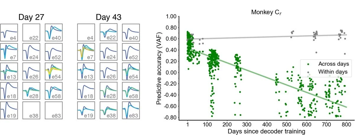 Fig. Instability: Left: the average action potential waveform of example sorted neurons for two datasets: Day 27 and Day 43. Right:&nbsp; prediction performance using a fixed BMI decoder. Gray symbols represent the sustained performance of the decod…
