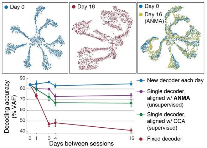Fig. NoMAD Arch: Architecture underlying the NOMAD approach. First, a core model (LFADS) is trained on an initial training dataset. The model’s stability is maintained by applying the ANMA approach to new data in batches, as it comes in. In this app…