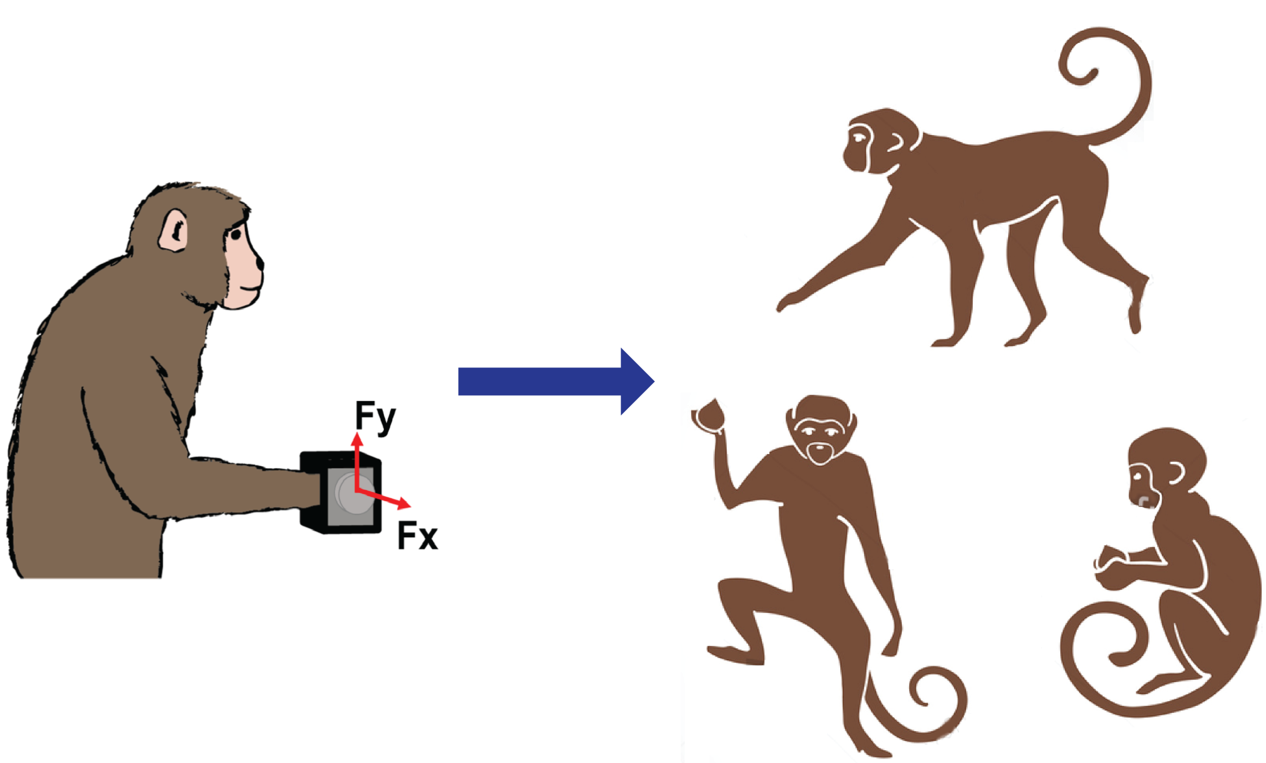 Fig Lab vs. Unconstrained: Unlike in-lab tasks with the monkey’s body constrained in a primate chair and upper limbs moving in a constrained workspace, monkeys inside our telemetry enclosure perform various freeform movements unimanually or bimanual…