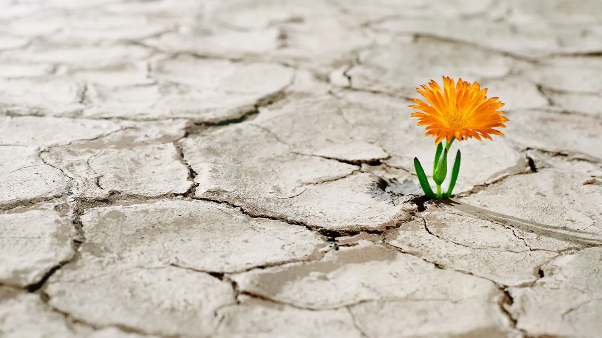 How Bad Times Bring Out the Best in People