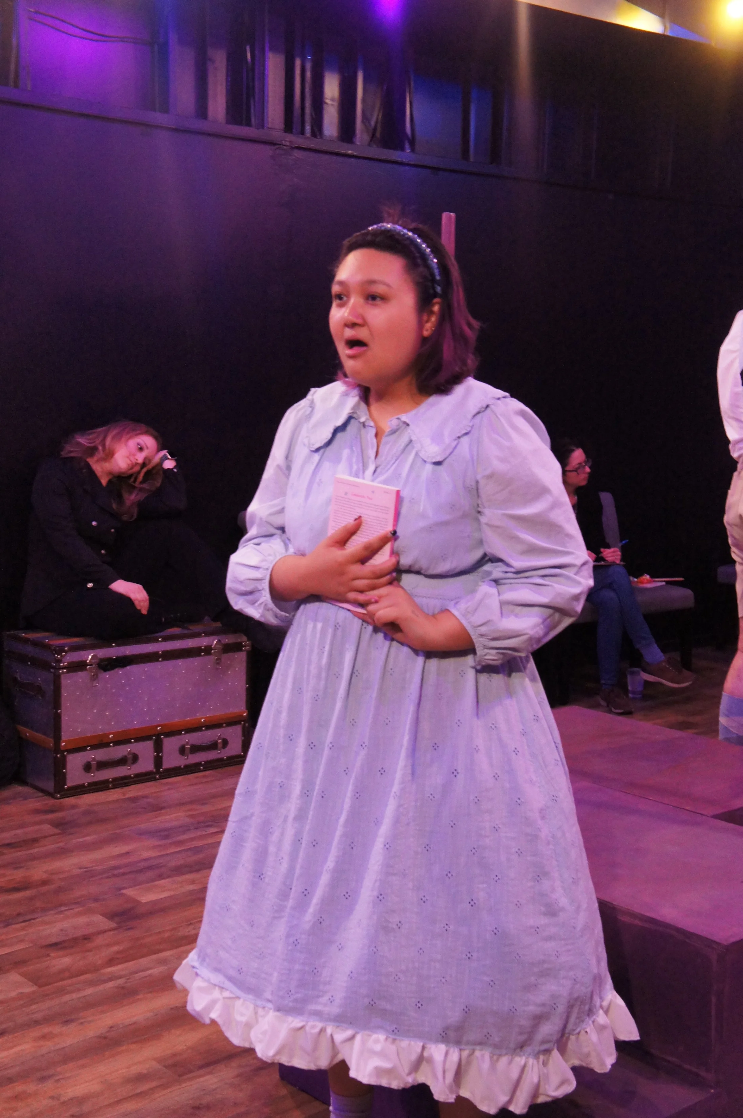 The Fantasticks (2022)