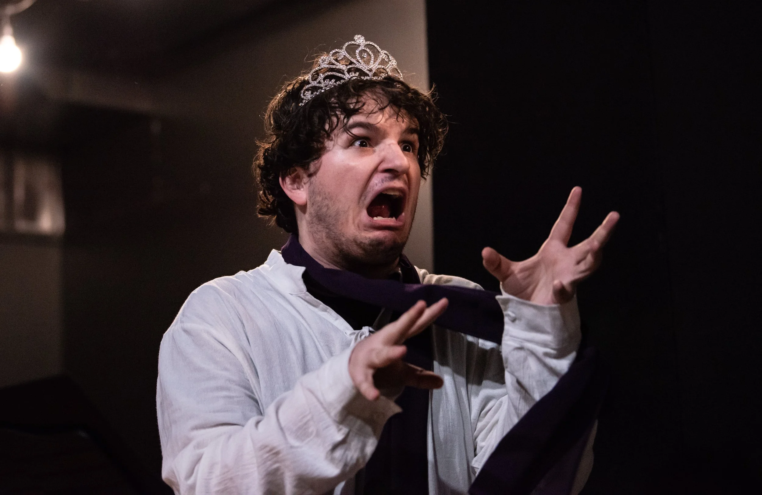 The Complete Works of William Shakespeare (Abridged) (2023)