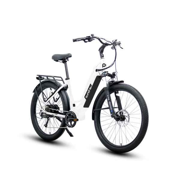 EBikes For Sale Asheville — Asheville Custom EBikes