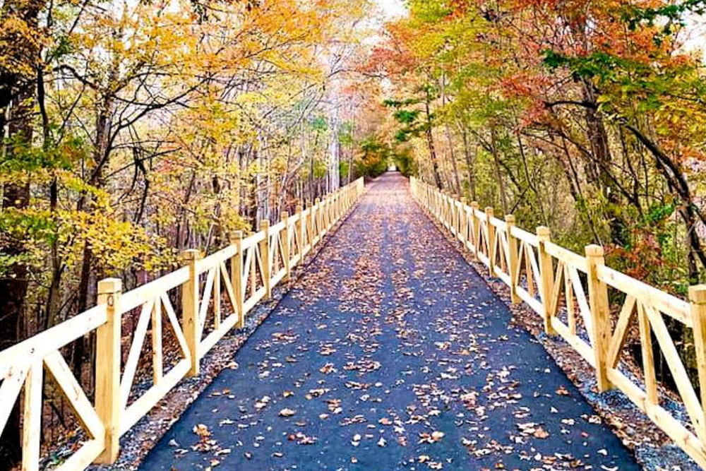 Off the beaten path — Asheville Custom EBikes