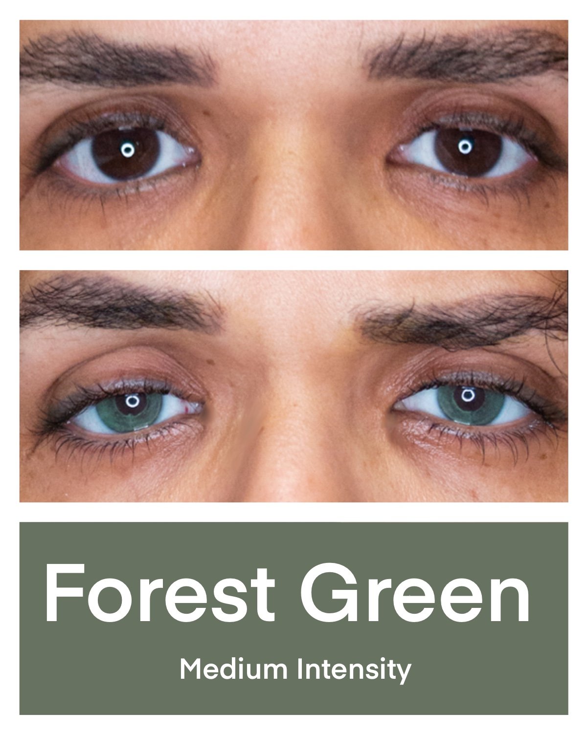 Forest green medium intensity