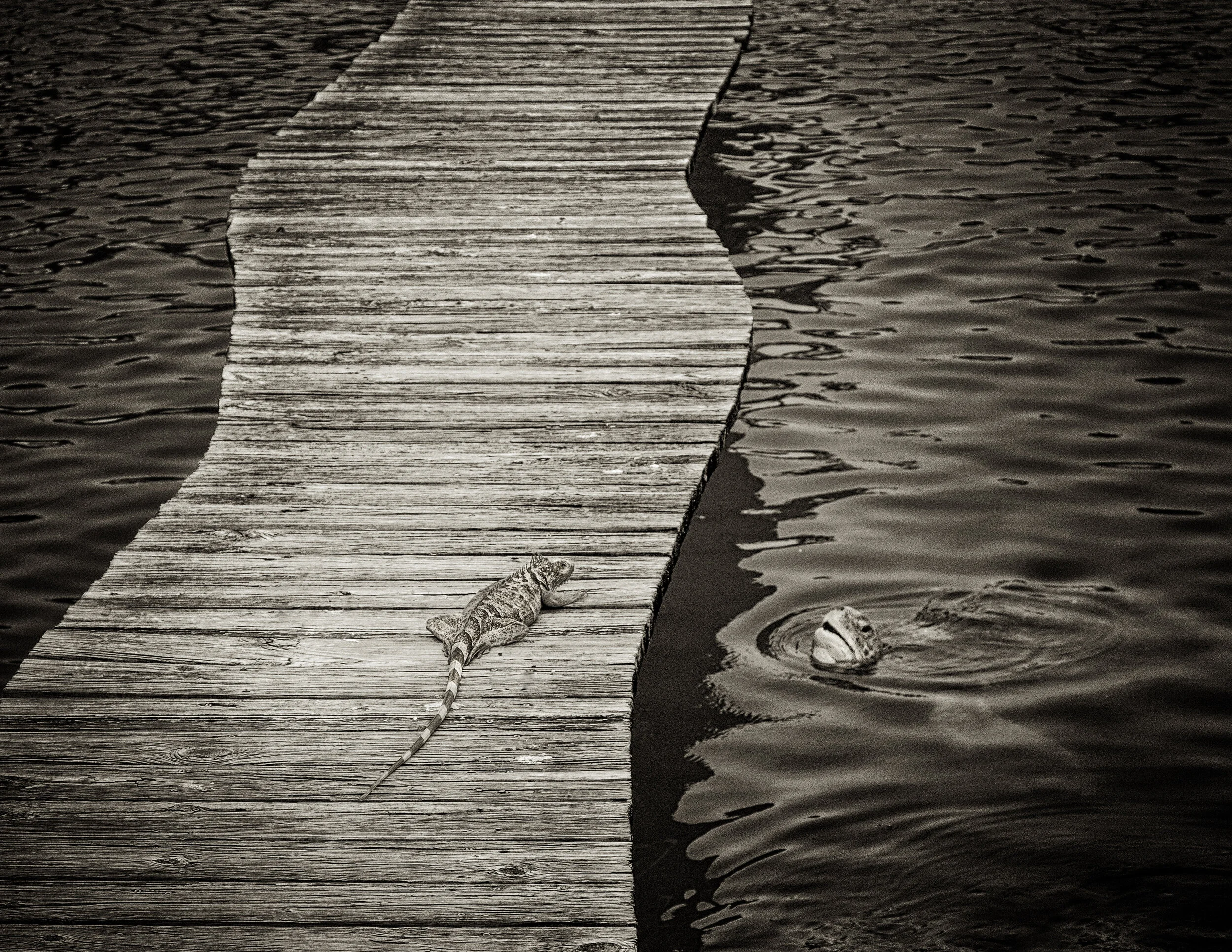 DSCF0228-Edit-Edit.jpg