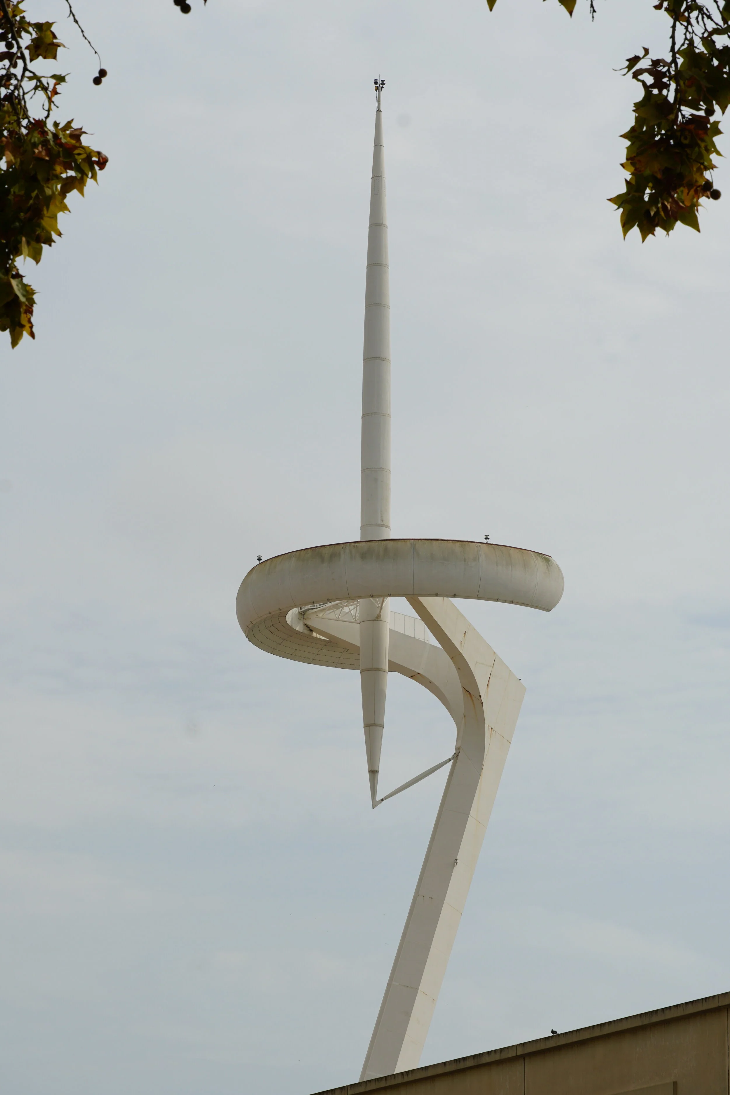 DSC04509.JPG