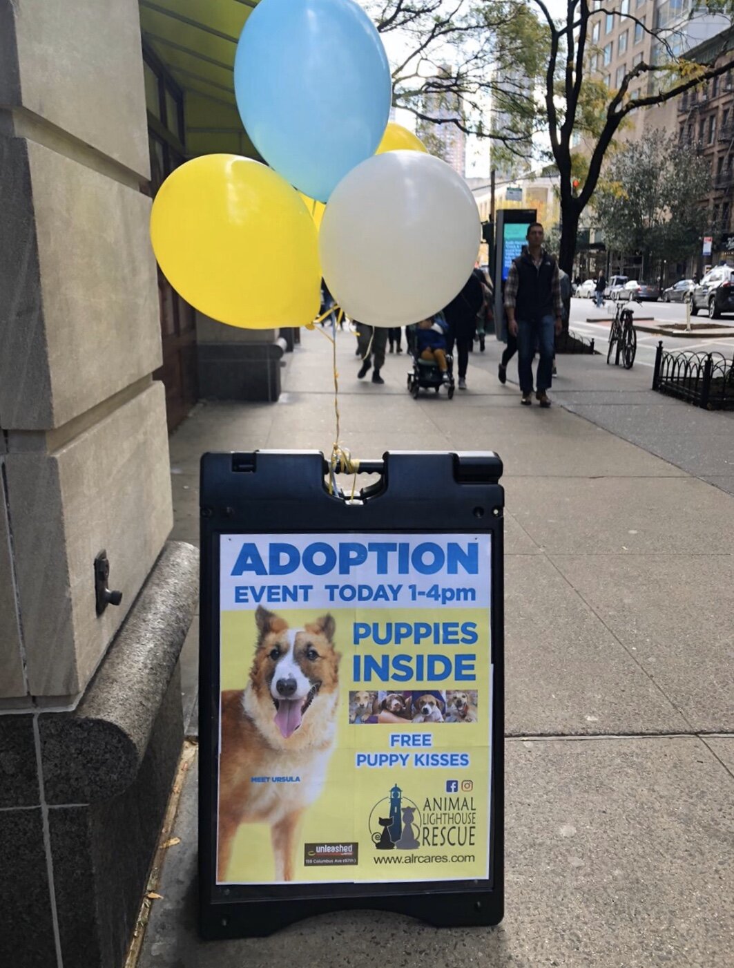  Unleashed by Petco on the Upper West Side often hosts adoption events for us! 