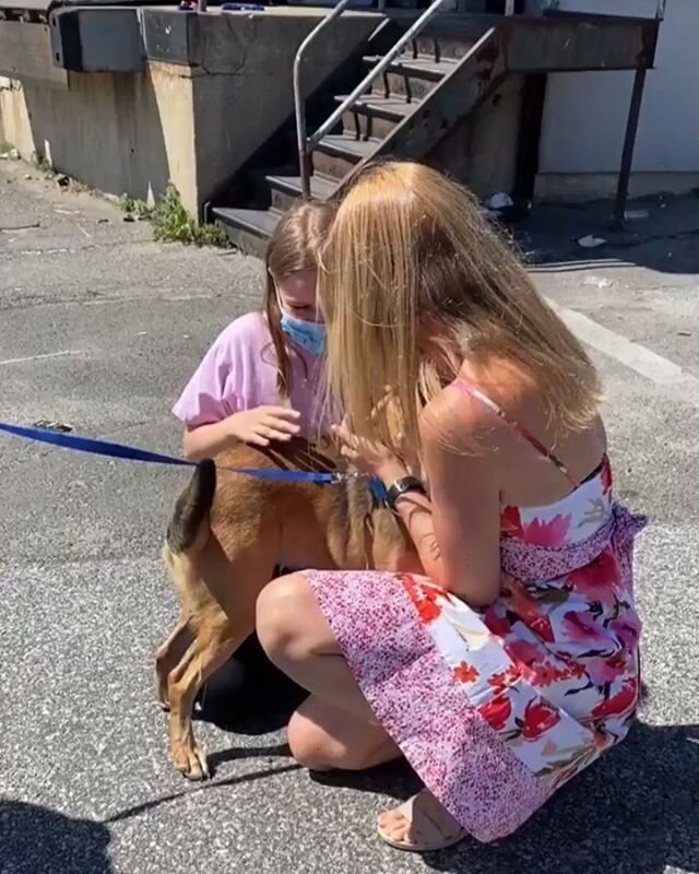 See Barbie meet her #fureverfamily for the first time. 😍🥰 Some happy tears were shed. She&rsquo;s going to have a full life with her big family while going back and forth between the Upper West Side and the Poconos. Moments like these are what we l
