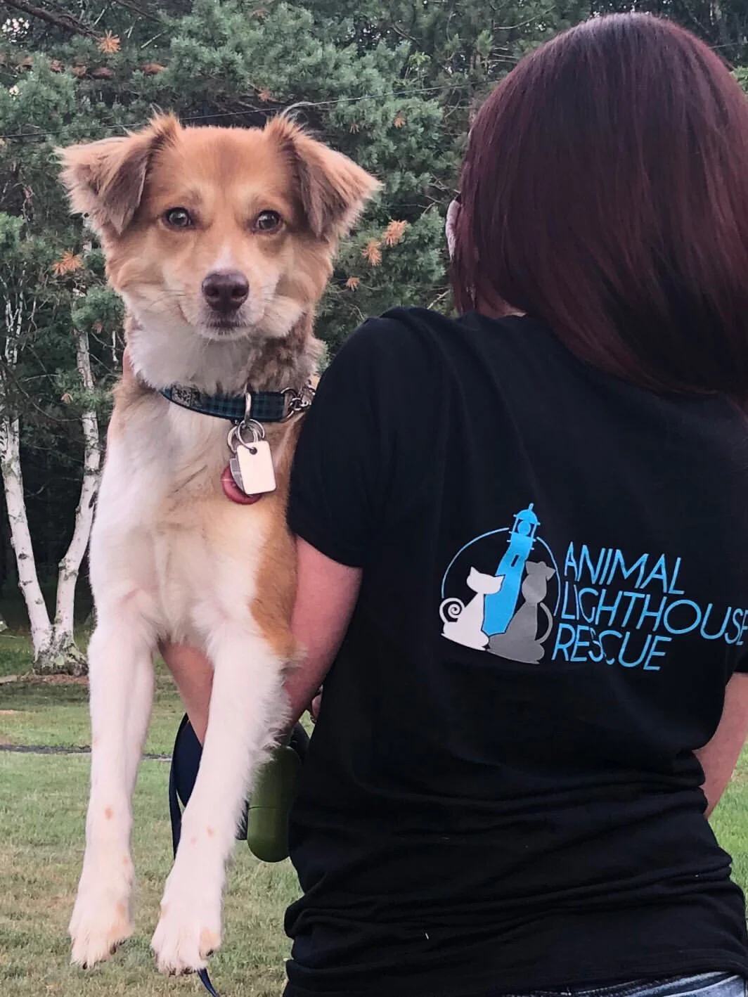 8CC5F1BA-748B-4682-96D5-5DADECCE4135 2.JPG