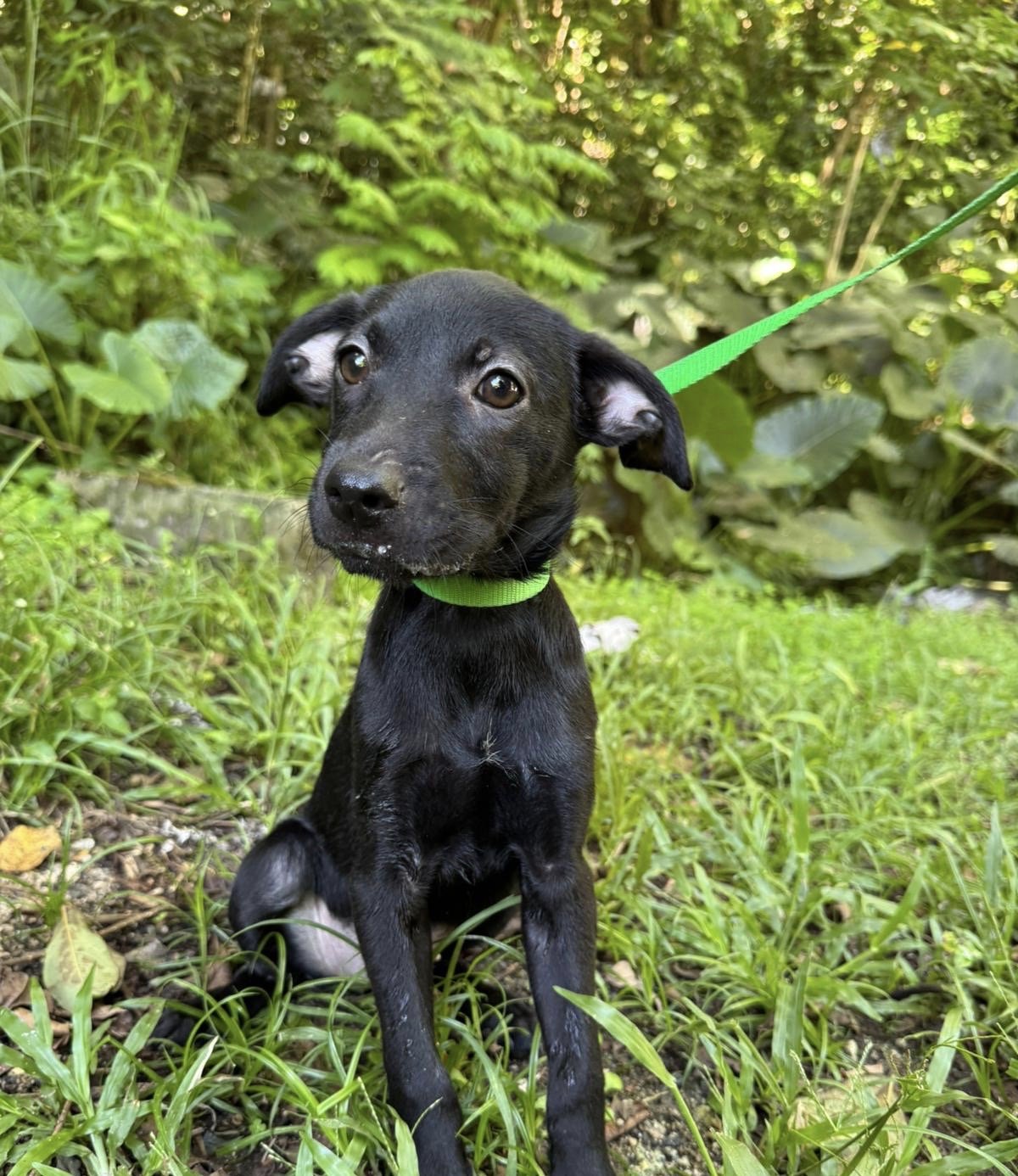 PHOTO-2025-10-08-15-07-56 2 2.jpeg