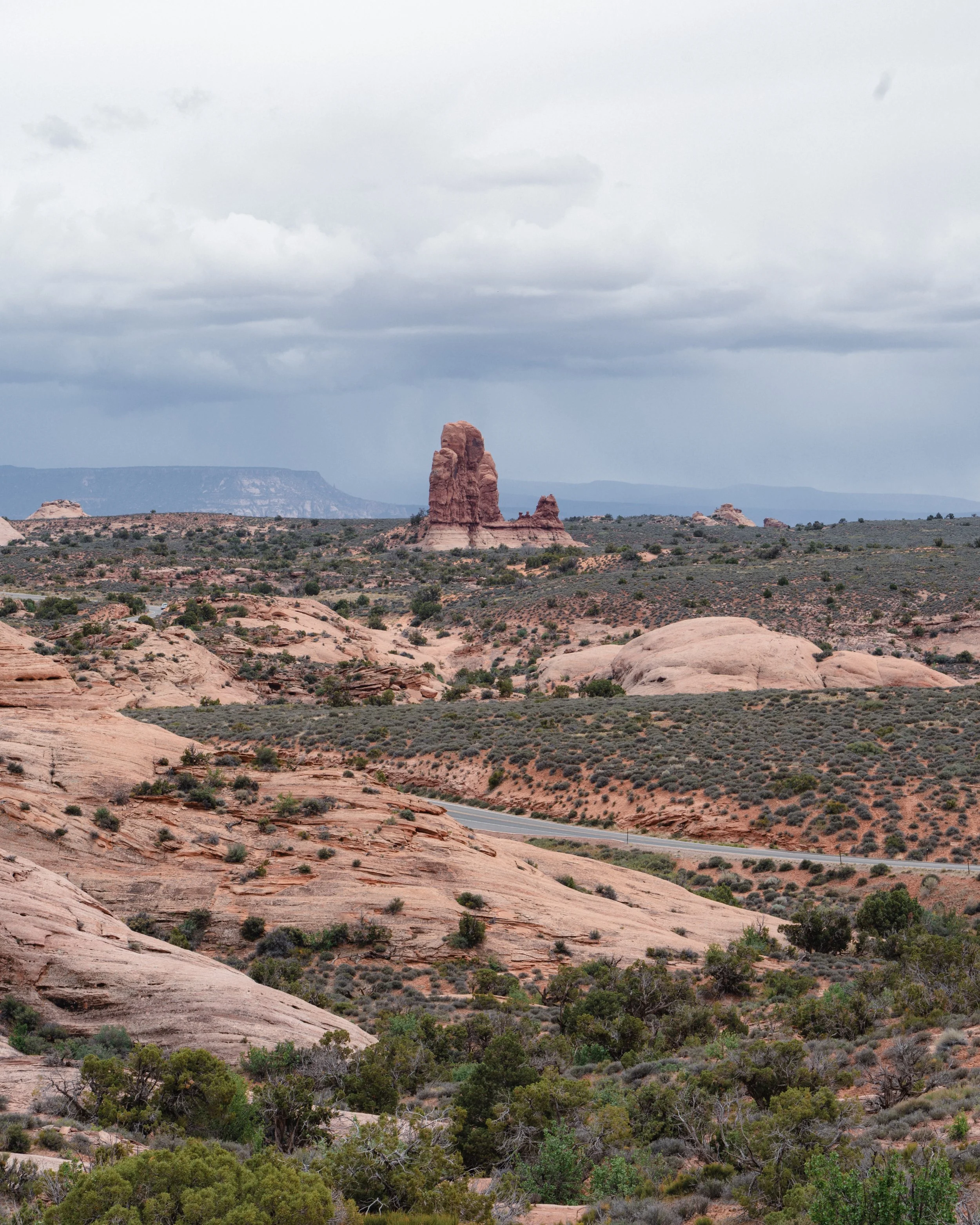DSC04215-2.jpg