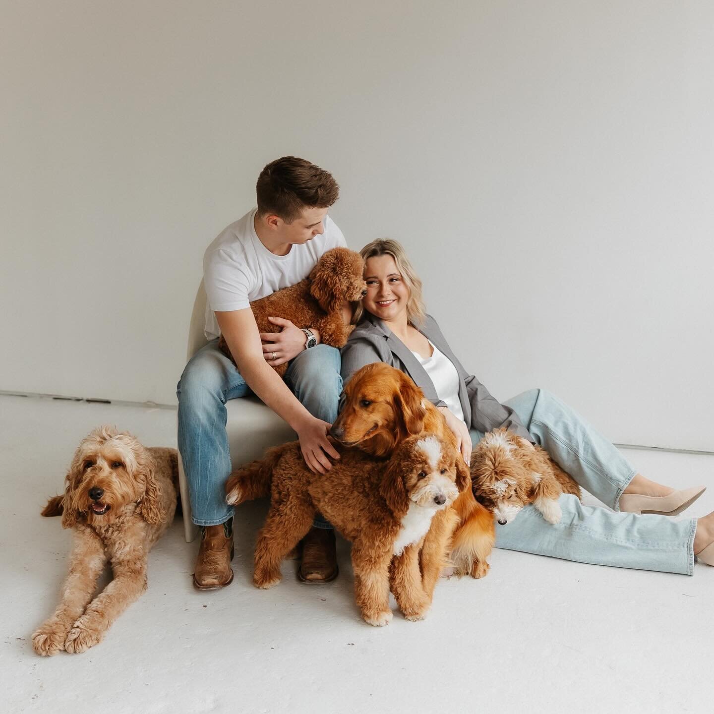 A dream photoshoot 🐶 

Branding session for @graberpuppy . They breed &amp; raise the BEST puppies. I couldn&rsquo;t recommend them enough!!!

Swipe to see the last pic which just so happens to be the puppy we picked to bring home next week 🥹 The f