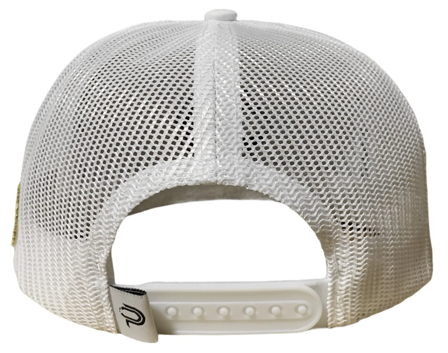 0C4A8053-D2C1-4EE5-A7B7-3575B007E836