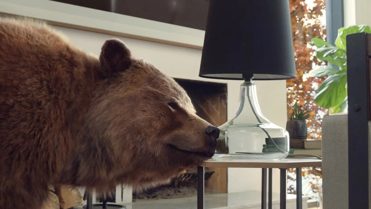 Canvas Furniture - "The Bears"