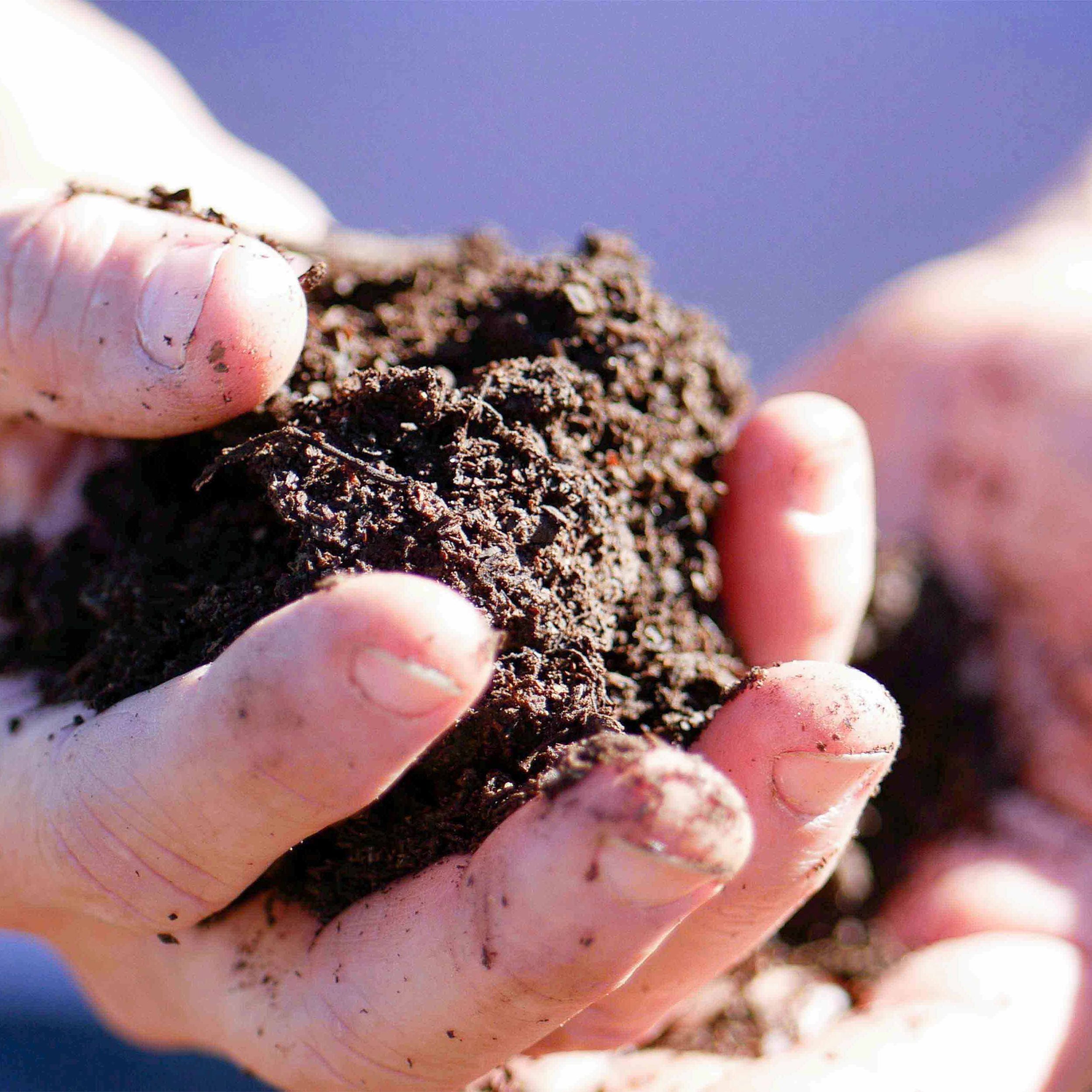 Community-Compost-residential-soil-in-hands.jpg