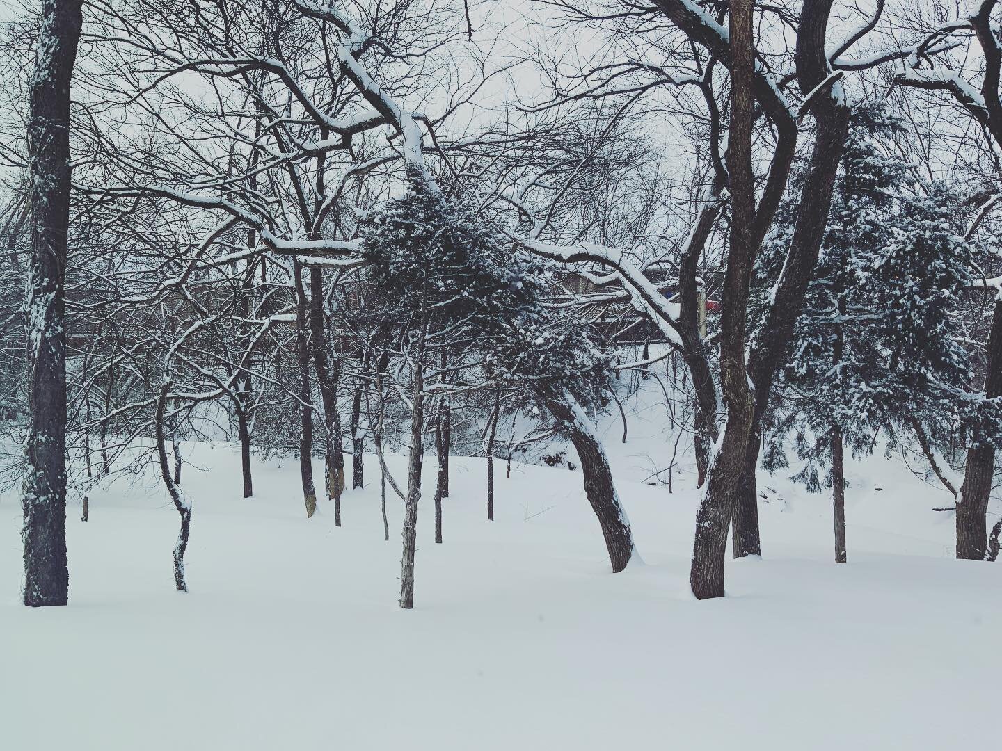 When we first moved here everyone said, &ldquo;We don&rsquo;t have snow like you did in Indiana...&rdquo; 🤷&zwj;♂️ It&rsquo;s beautiful this morning.