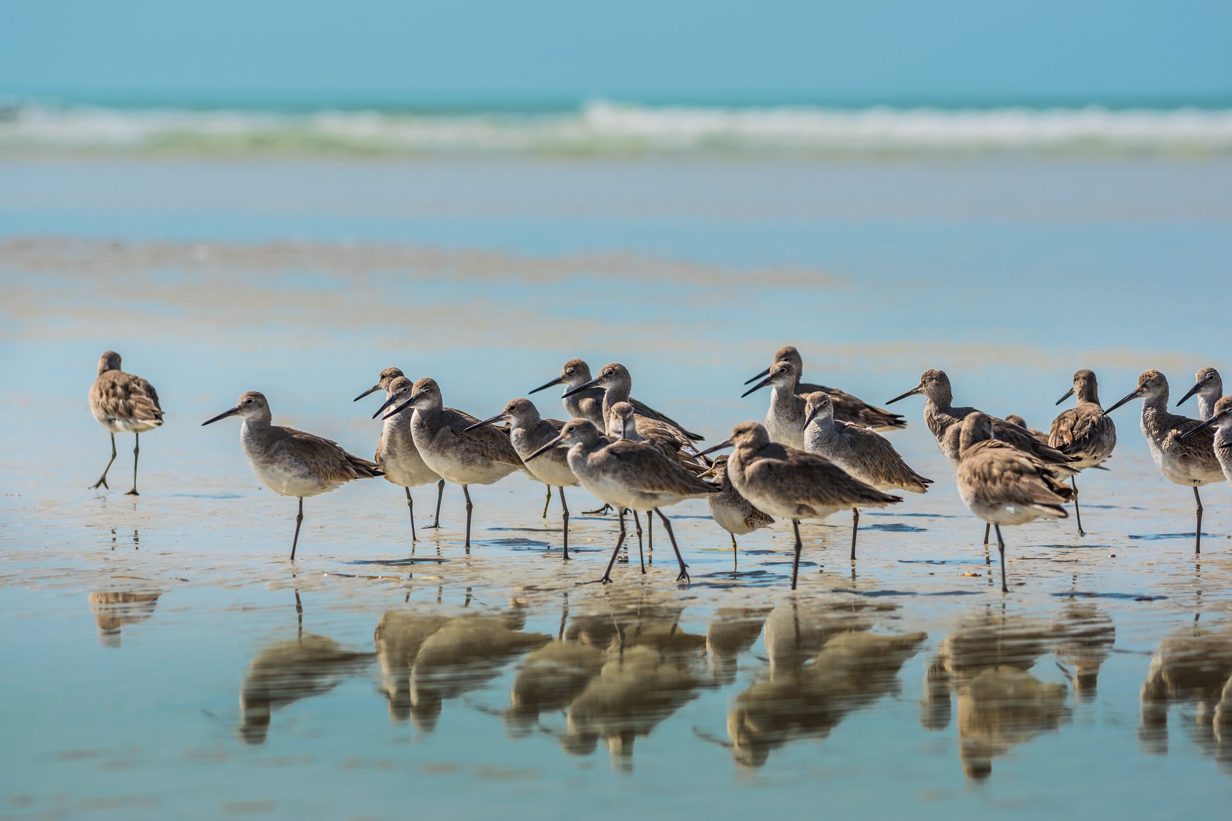 Broward, Palm Beaches & St. Lucie Realtors®