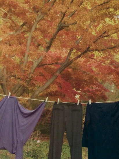 Autumnal Domestic