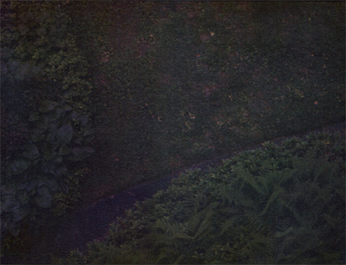 Looking Down