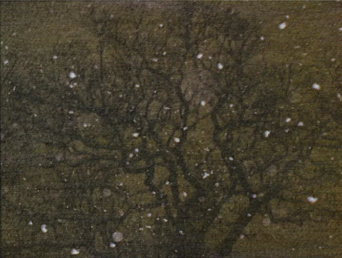 Oak in Snow