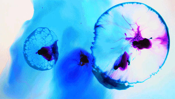 PoP Gala 2016: A Word Imagined