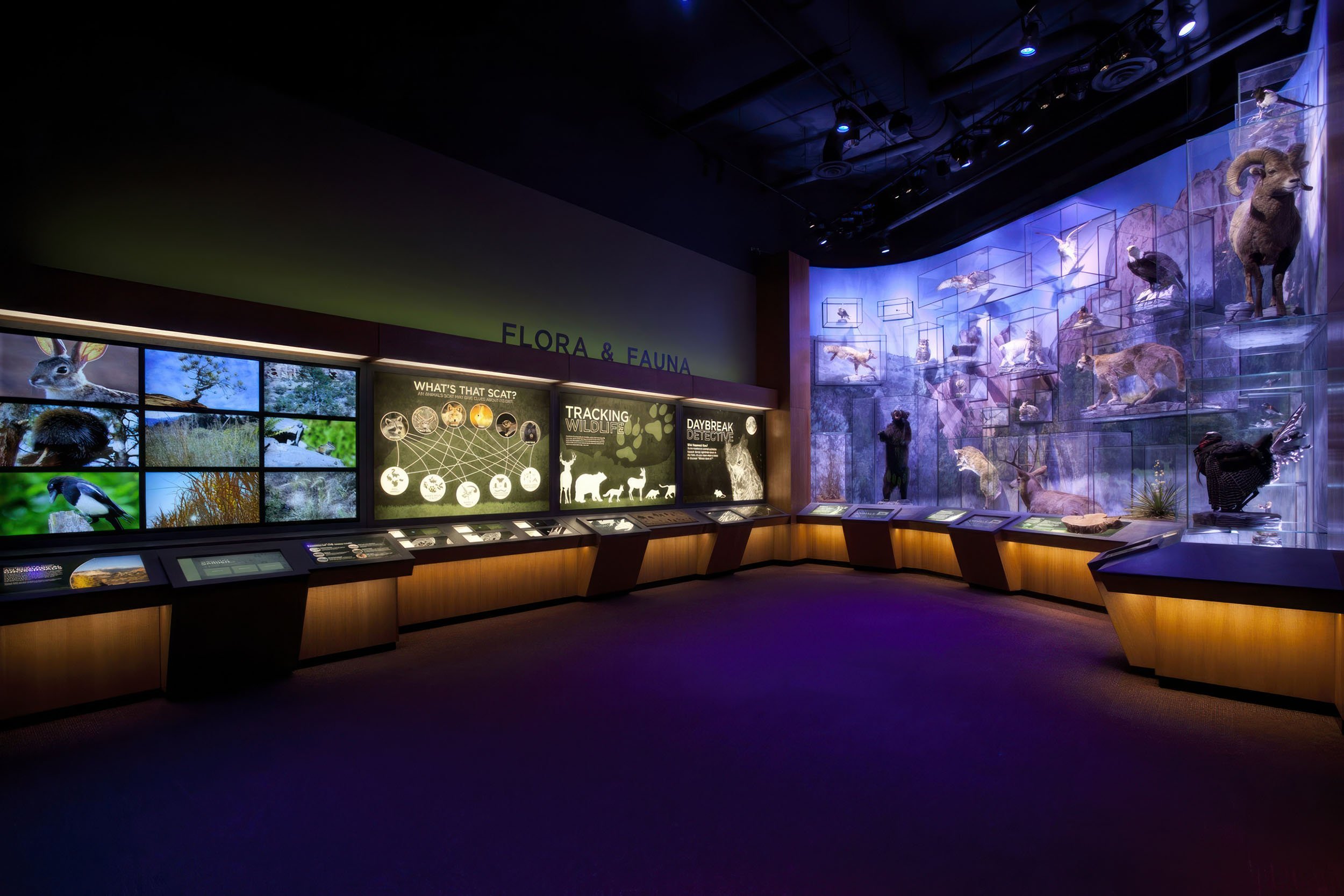 Garden of the Gods Visitor Center: Flora & Fauna Gallery