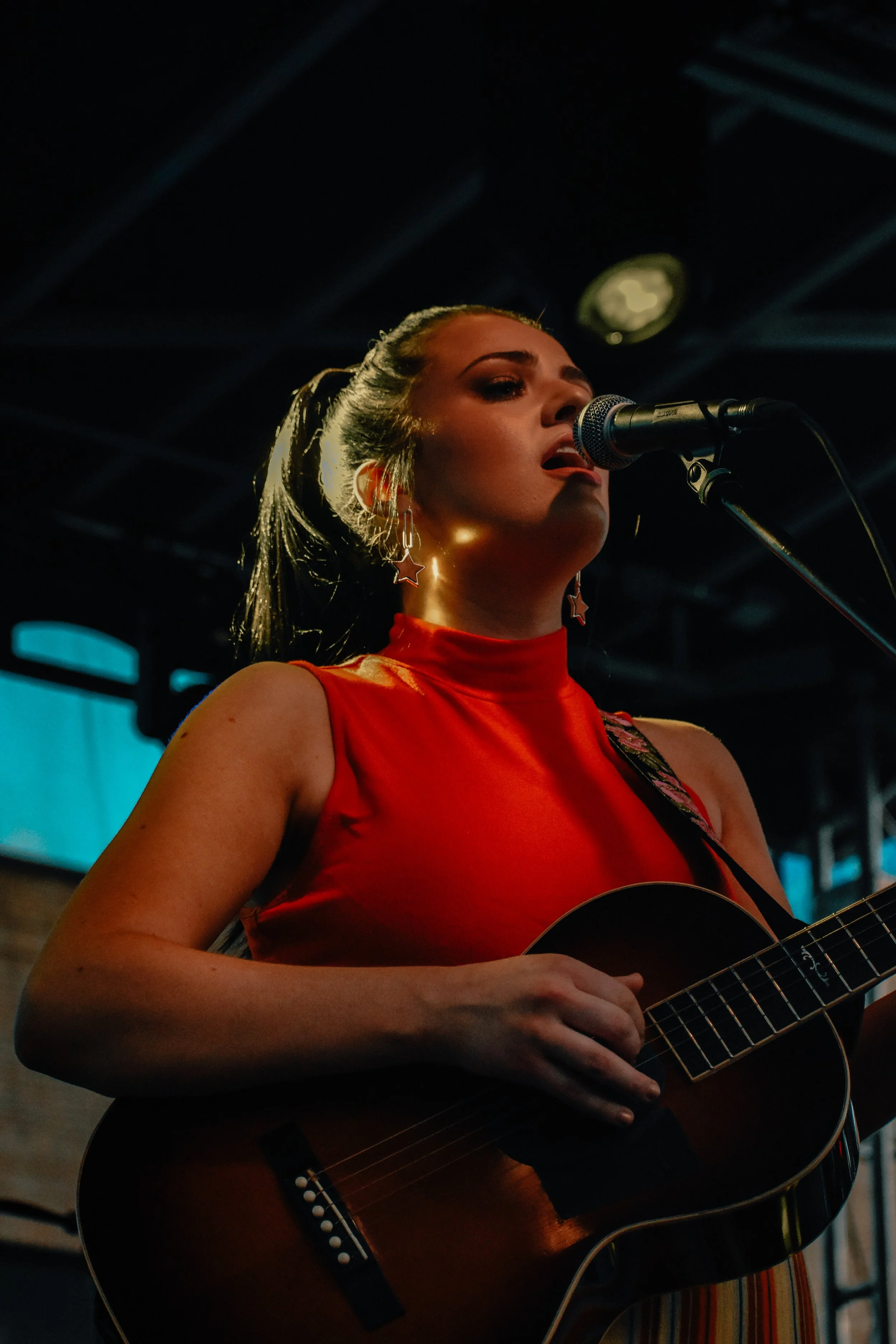 maddiepoppe-cat-dooley-0897.JPG