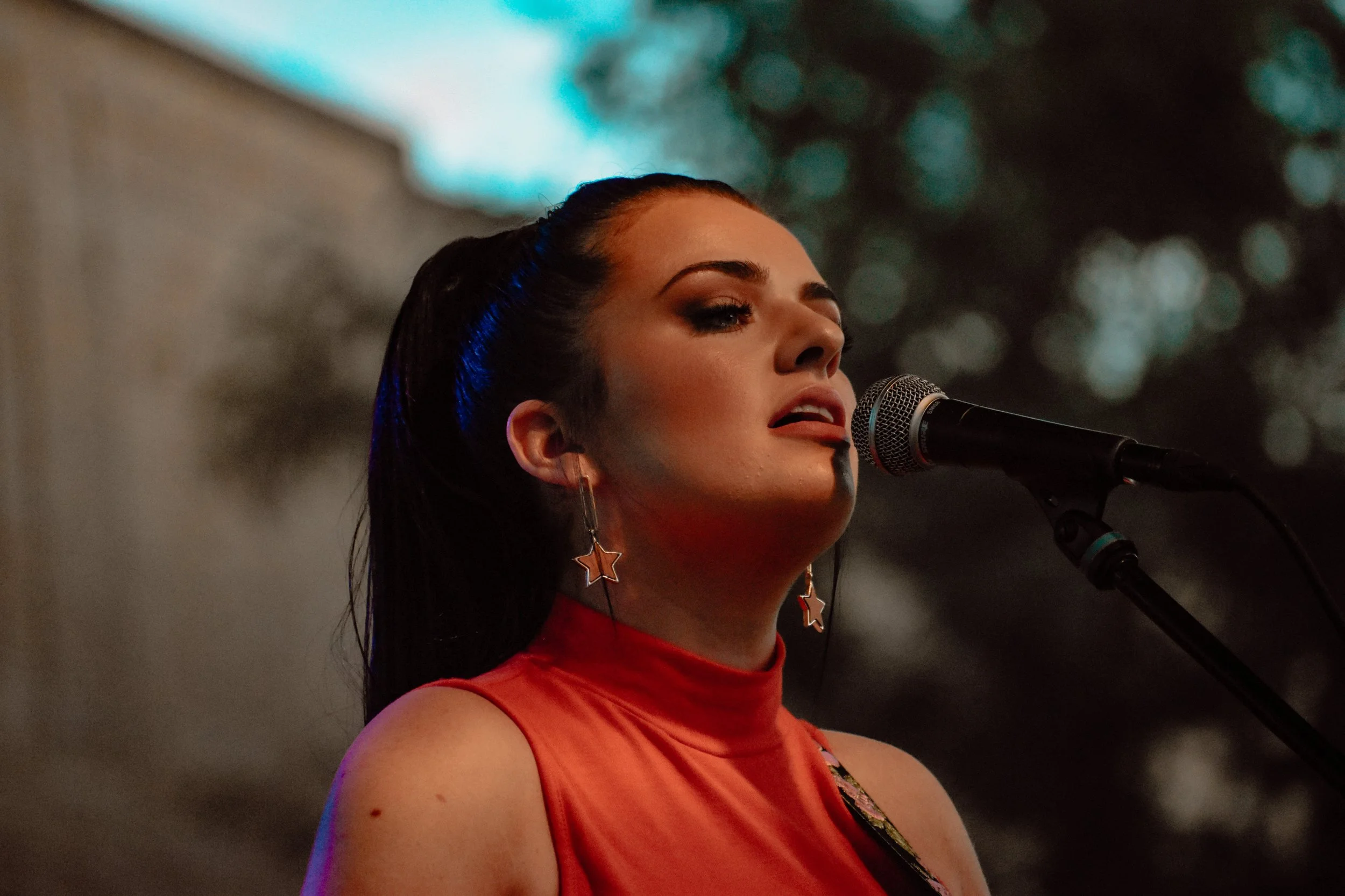 maddiepoppe-cat-dooley-0888.JPG