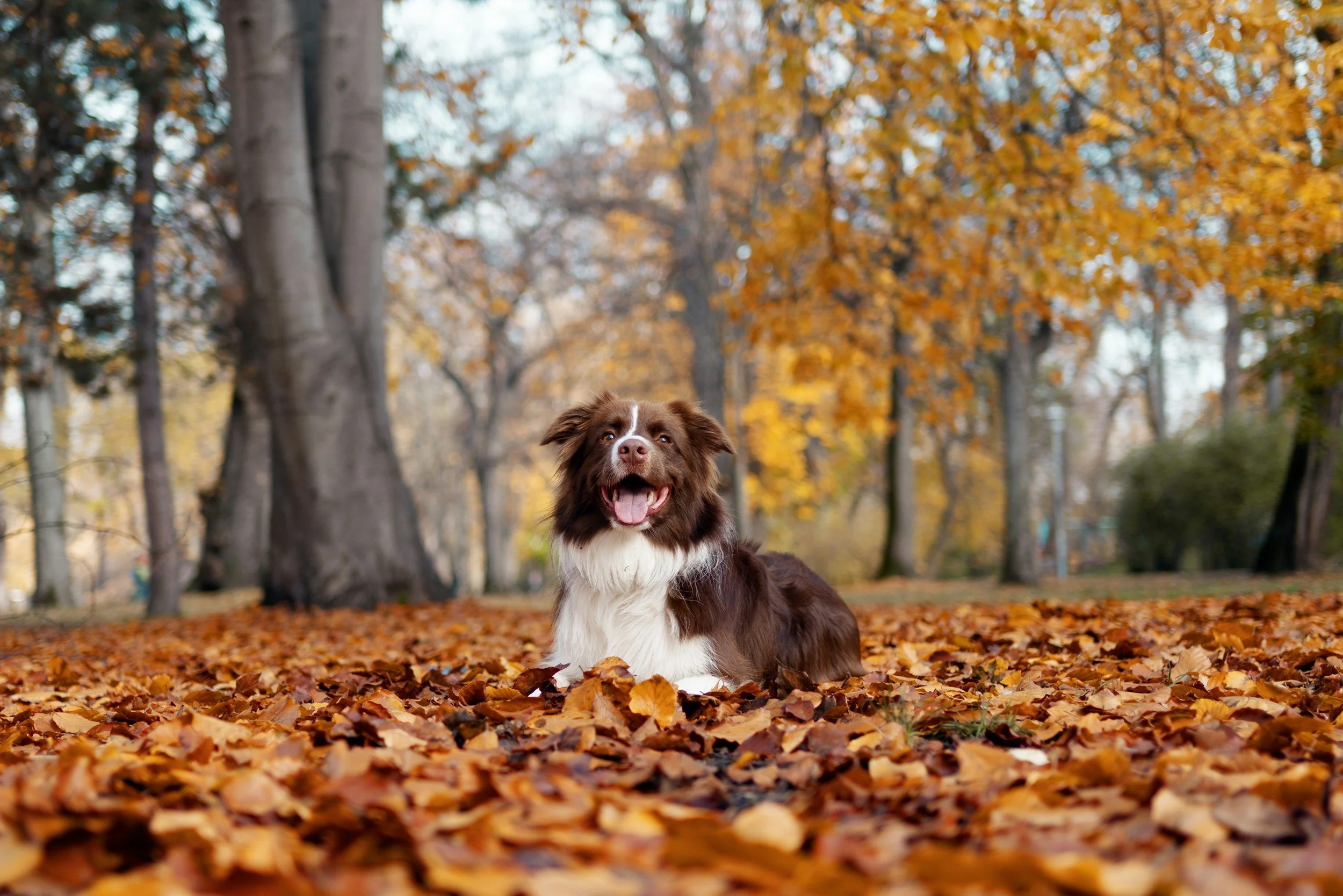 unsplash-image-Dfunis-C1FQ.jpg