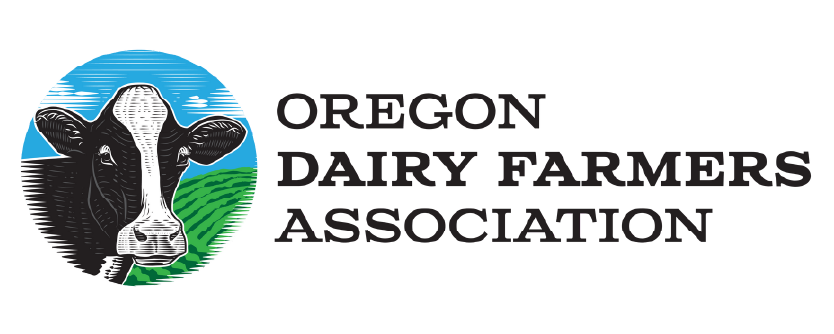 687e814c39bfbefbb67f91e1_Nav Bar svg logo (1).png