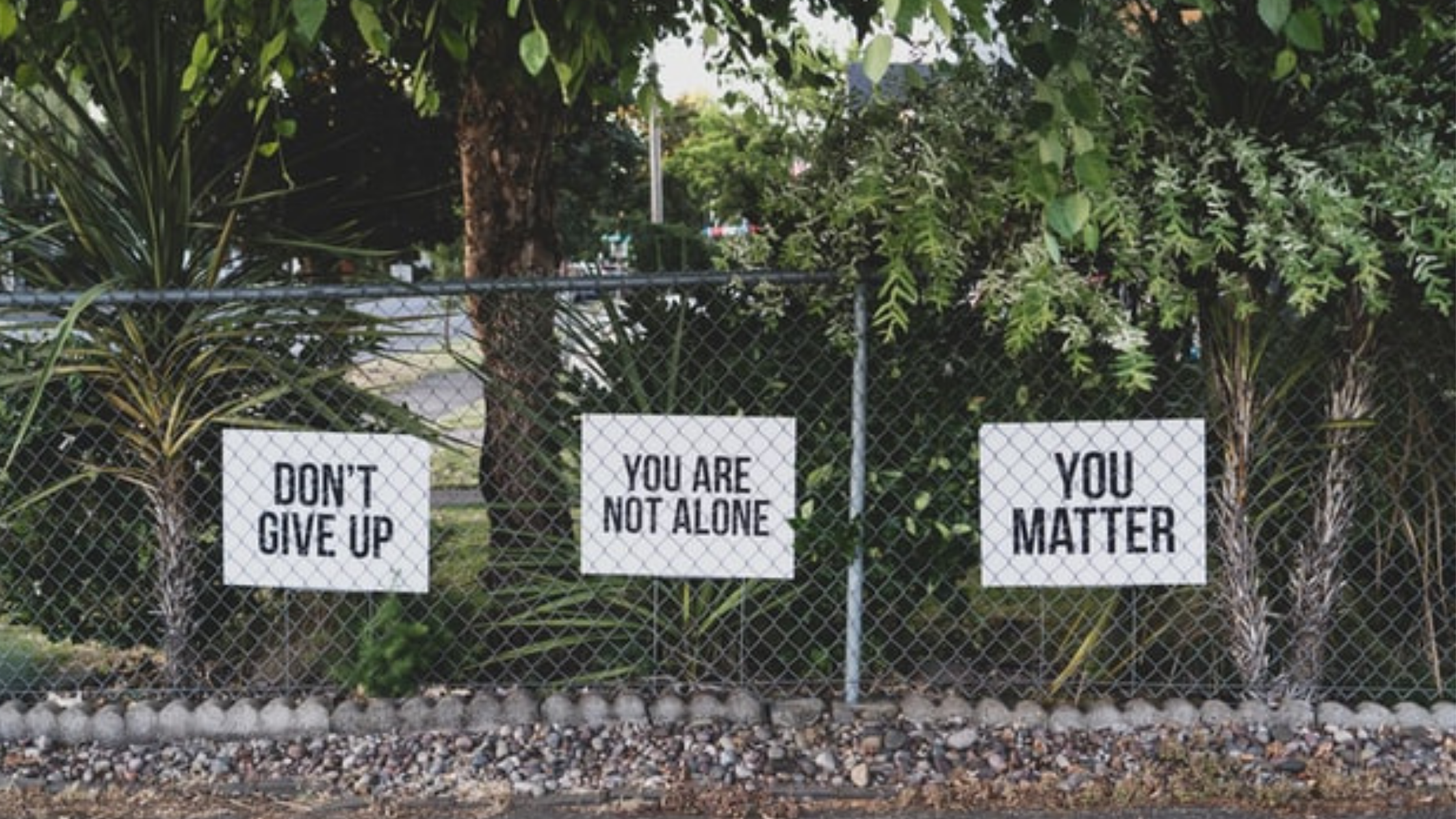 Making the Call for Counselling