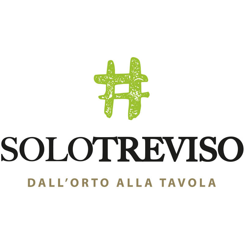 LogoSoloTreviso.jpg