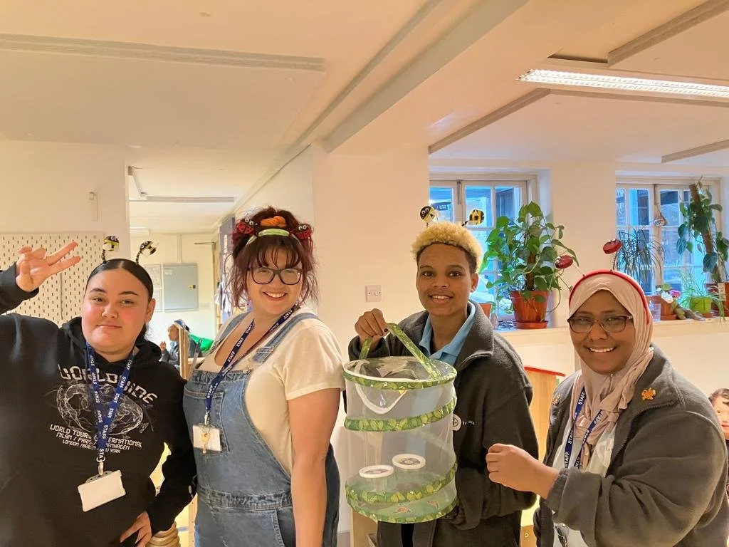 Insects and Minibeasts