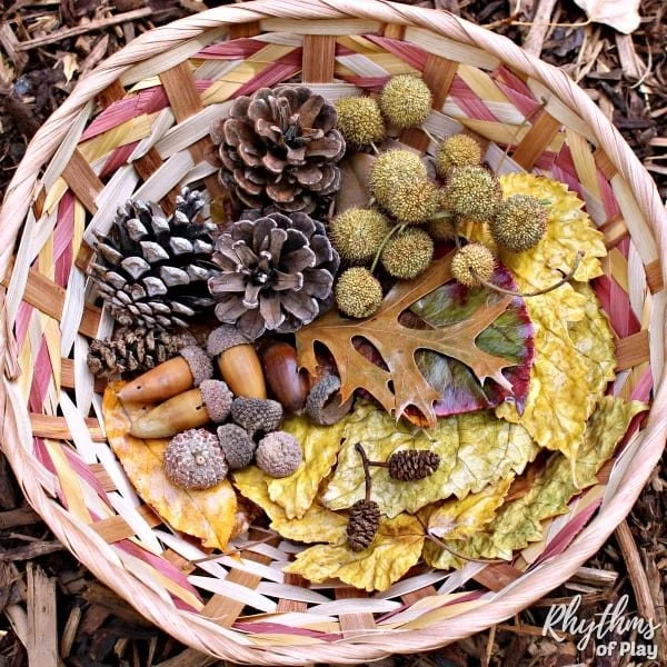 Reggio at Home: Project Corners