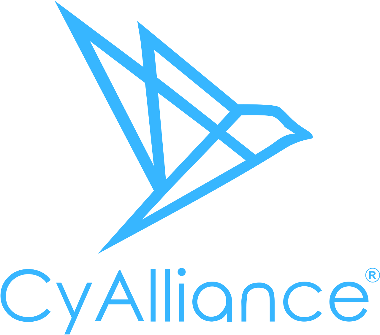 CyAlliance, LLC