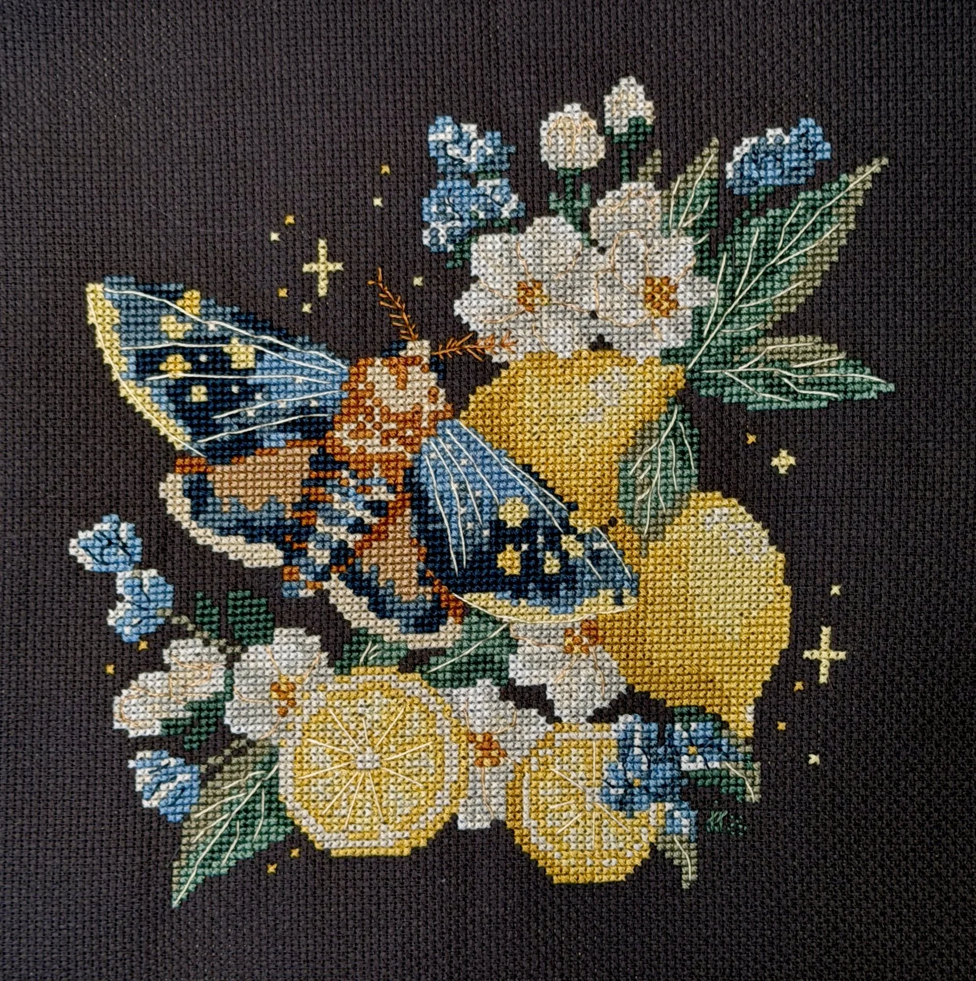 2025 \ Summer Moth by Wild Bluebell 
16ct Chalkboard using DMC