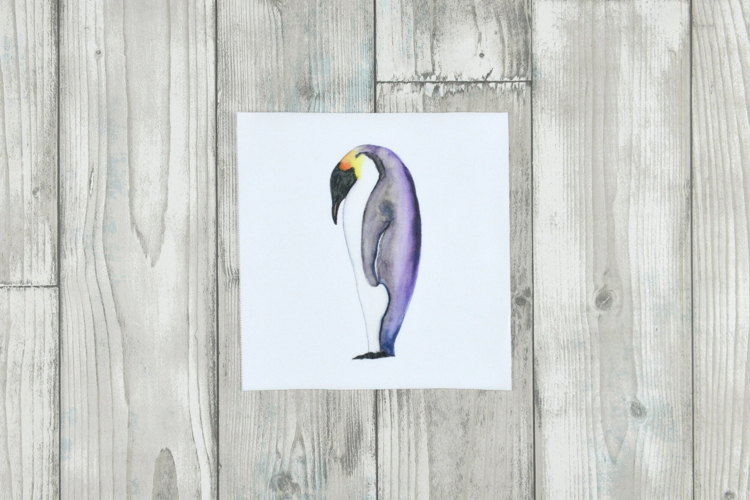 _VAE2503.JPG