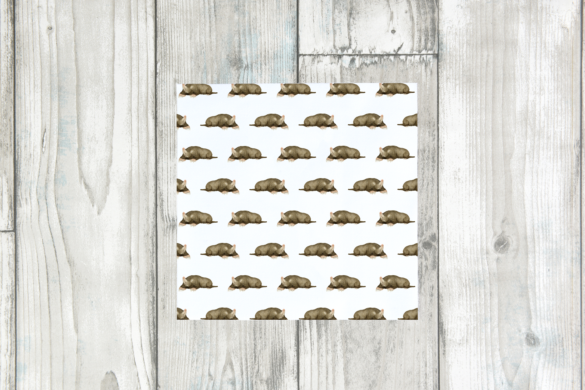 mole repeat on white.png
