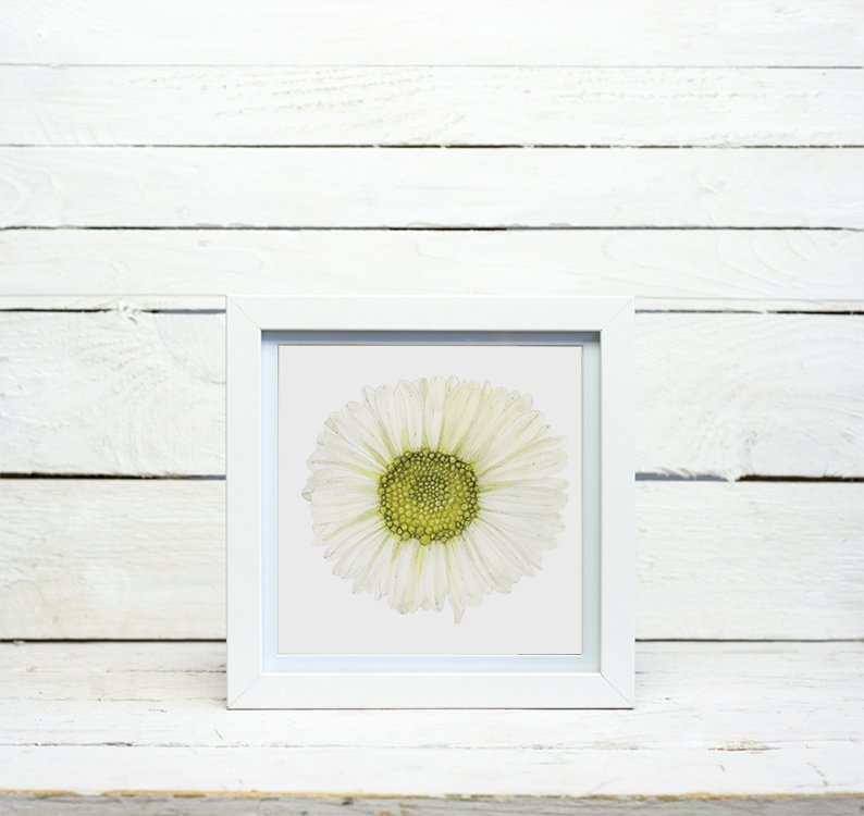 Shute Lane Daisy framed fabric square (Copy)