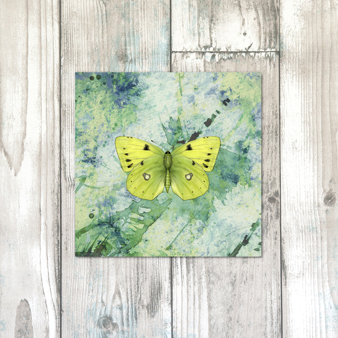 CLOUDED YELLOW BUTTERFLYtext.png