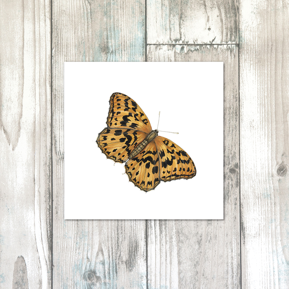 High Brown Fritillary Butterfly design on cotton fabric