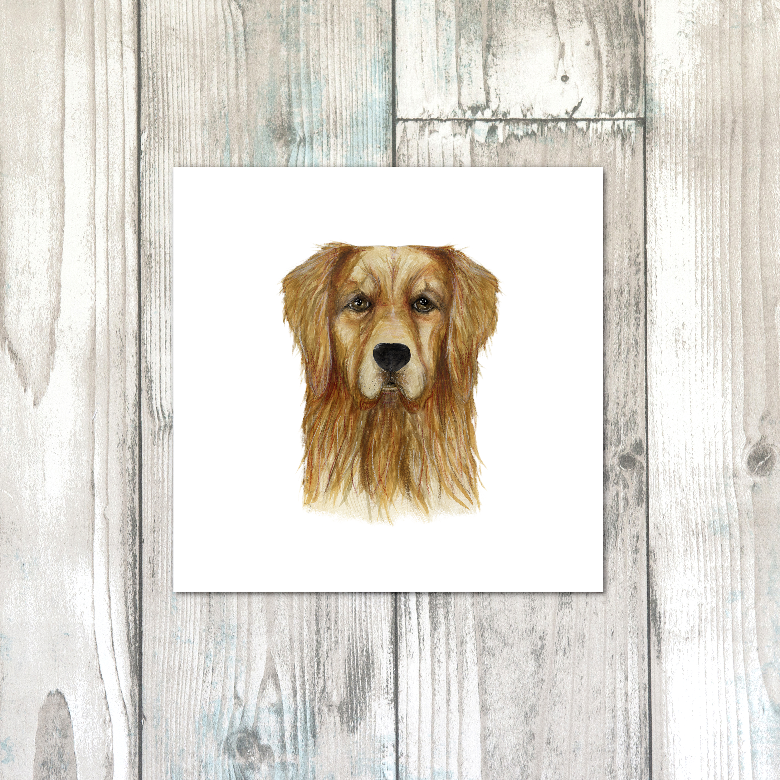 Golden long haired Retriever design on cotton fabric