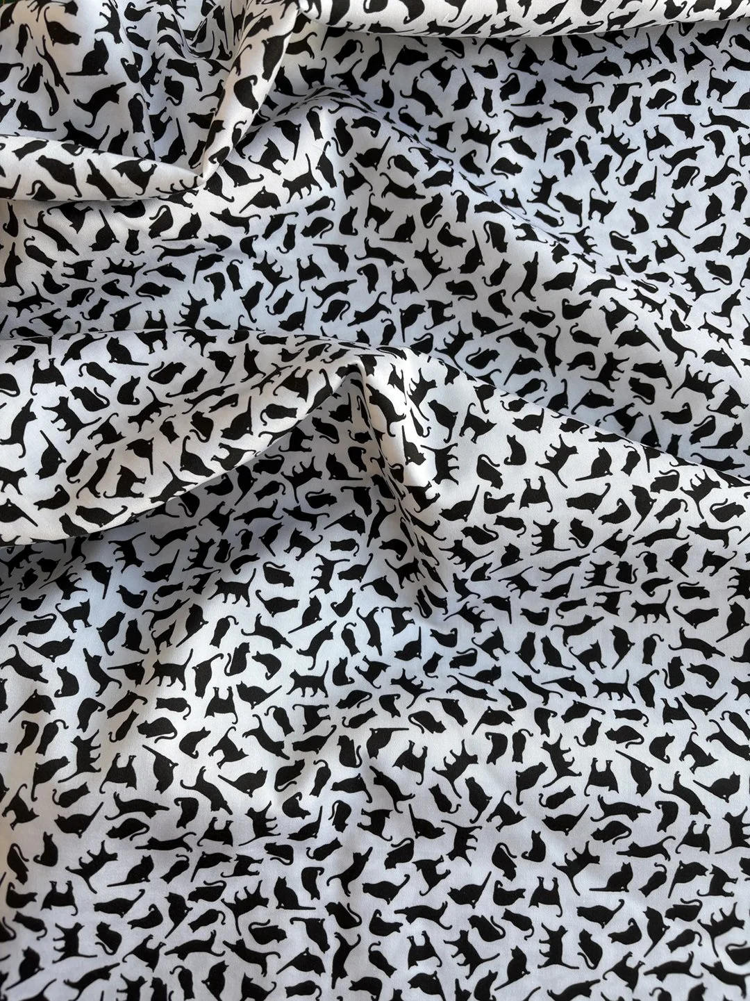 black cat fabric 1.jpeg