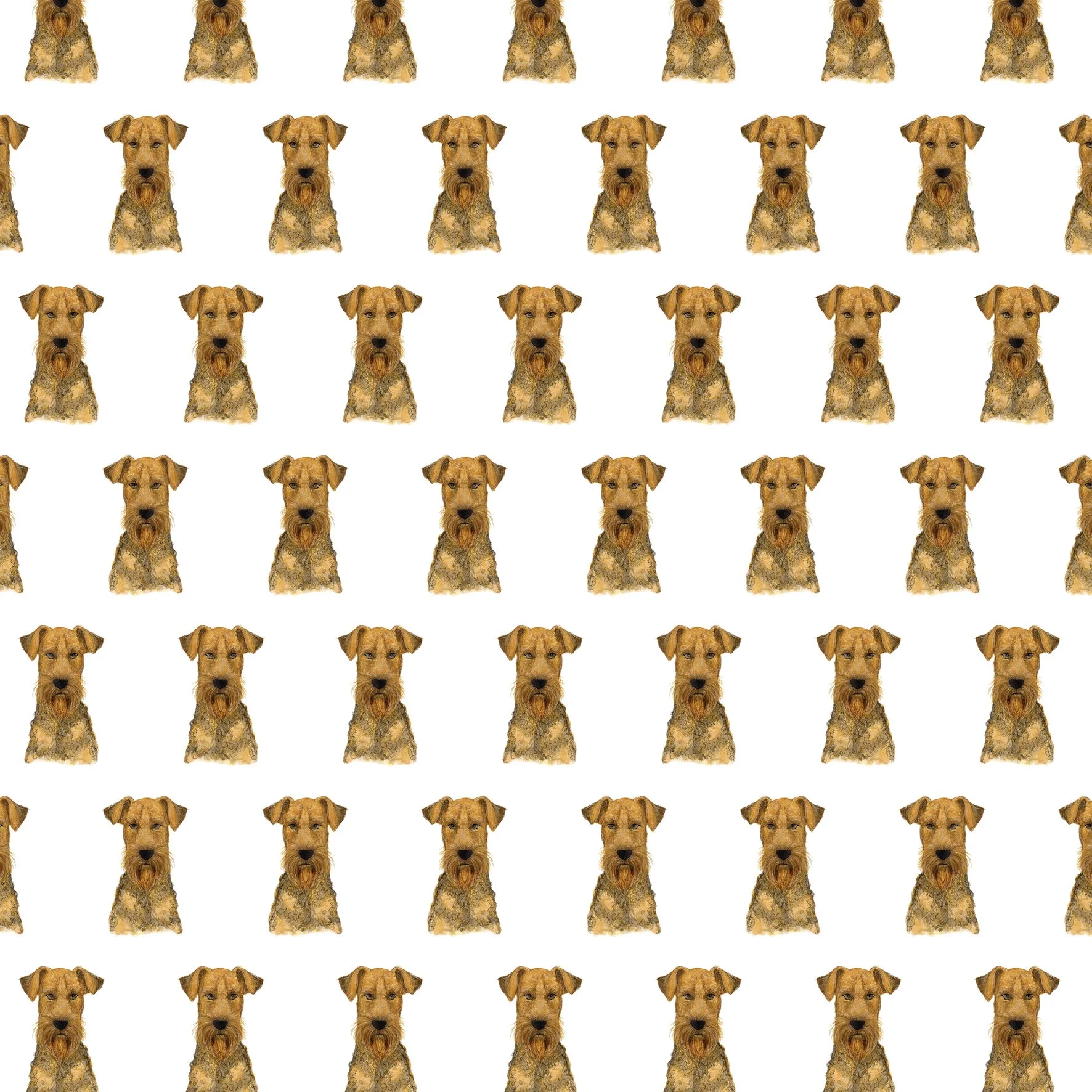 Airedale Terrier SINGLES.jpg